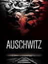 Auschwitz (film)