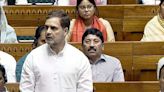 Rahul Gandhi as LoP: Meaning of Leader of Opposition, powers, salary, perks, importance in Lok Sabha - Rahul Gandhi becomes Leader of Opposition