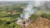 El fuego se adueña de los bosques tropicales húmedos de África