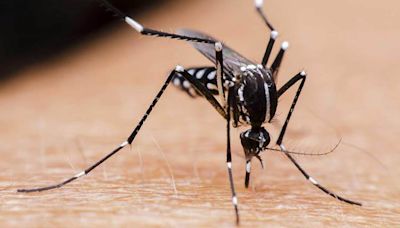 Persiste la emergencia por el dengue y 42% de casos están en la ciudad