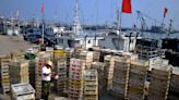 Wills (OMC): El acuerdo para frenar la sobrepesca es un "logro trascendental"