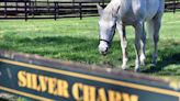 A life of leisure for Derby winner Silver Charm, alcohol and your health, and the USDA is testing beef for bird flu