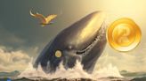 RenQ Finance (RENQ) Drives Massive Whale Attention and Raises $15 Million in Its Ongoing Presale