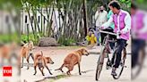 BMC to Resume Sterilisation Program in Response to Surge in Dog Bite Cases | Bhubaneswar News - Times of India