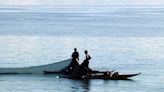 BFAR: More LGUs to be enlisted in illegal fishing monitoring scheme - BusinessWorld Online