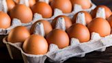 Eating a dozen eggs a week doesn't hurt your cholesterol: Study