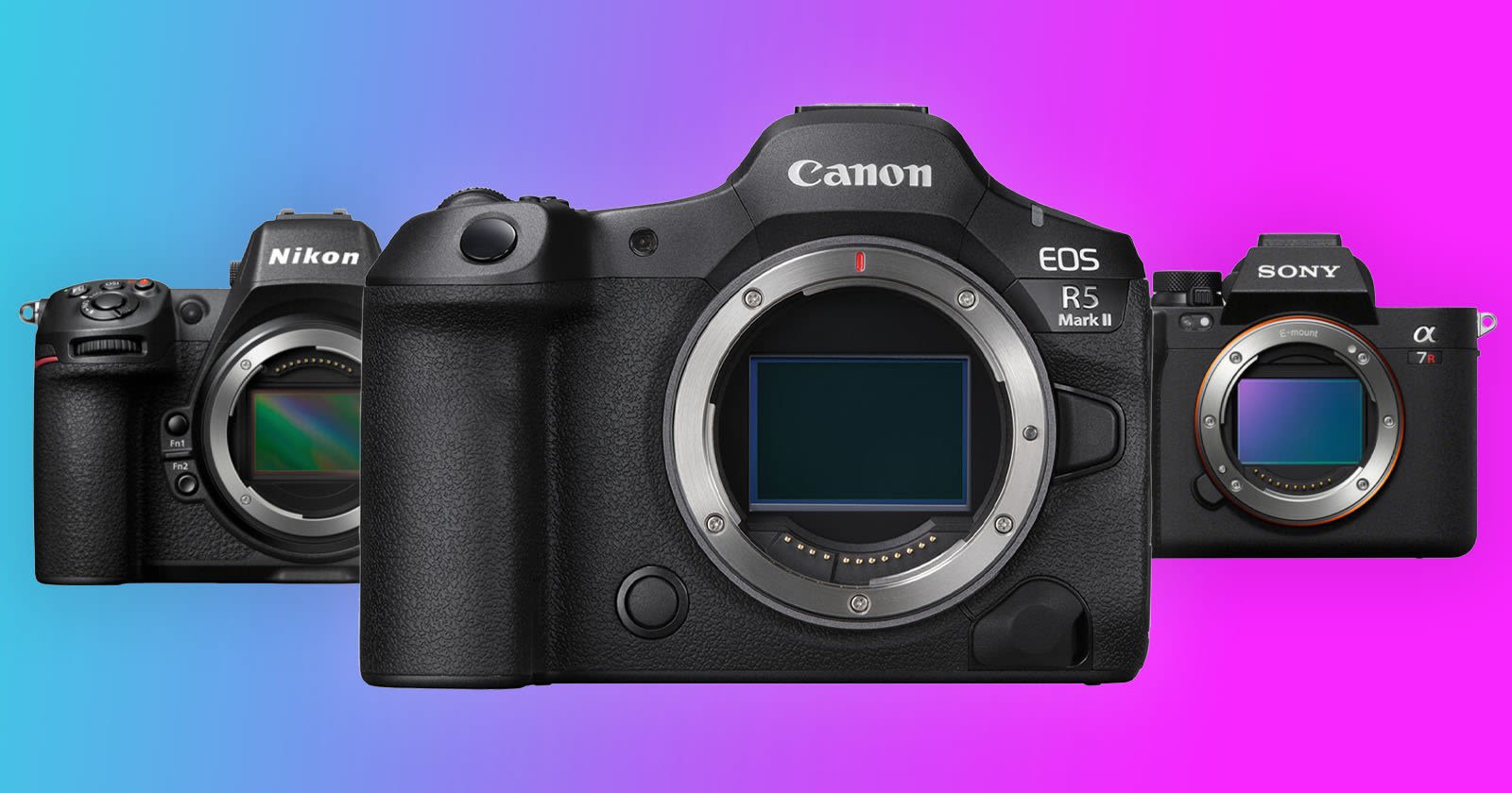 How the Canon EOS R5 II Compares to Its Peers Spec for Spec