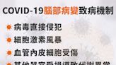 染疫童「細胞激素風暴」引發腦炎 醫籲家長別挑廠牌快打疫苗