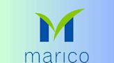 Foods and personal care portfolios to contribute 25 % : Marico - ET BrandEquity