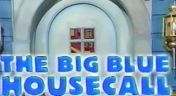 14. The Big Blue House Call