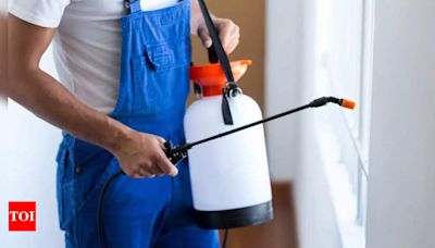 Keep your home pest-free this monsoon with expert services and DIY remedies | - Times of India
