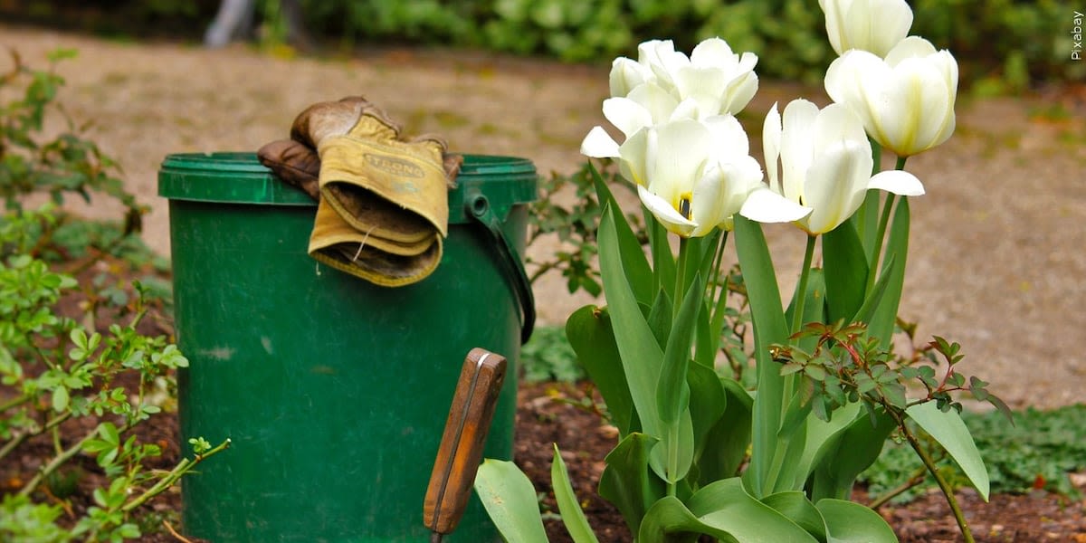 Best cities for naked gardening