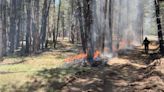 Wolf Fire operations wrap up following 10,000 acres of forest treatment