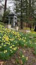 Lake View Cemetery