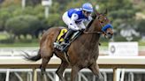 3-year-old Nysos to miss month's training, unlikely for Santa Anita Derby