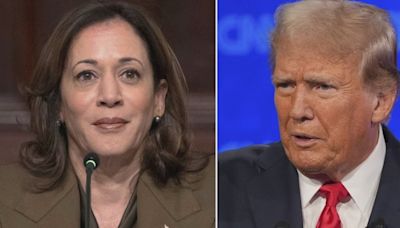 Kamala Harris kicks off campaign with small lead over Donald Trump: poll - National | Globalnews.ca