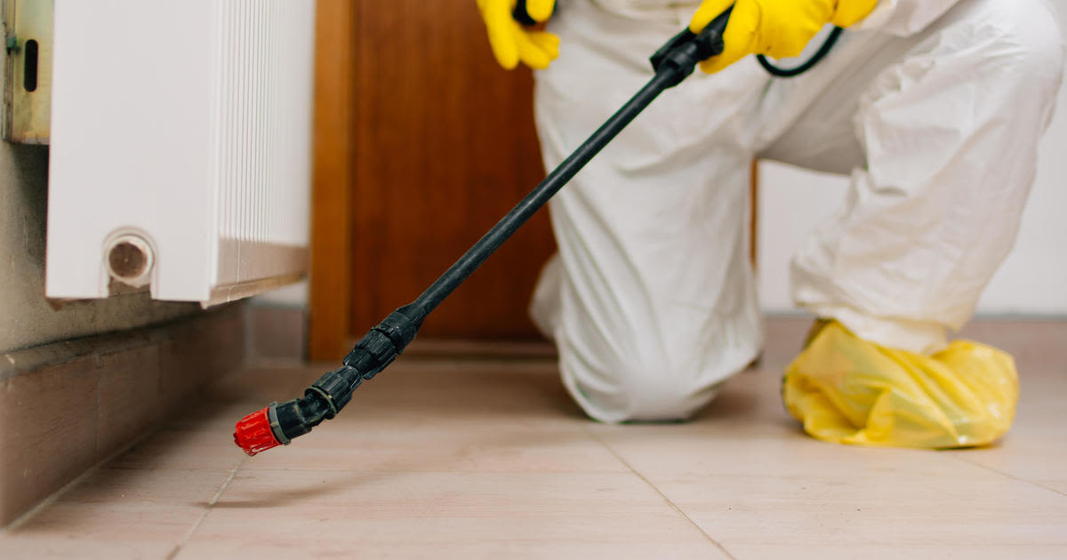 Do you need a pest control company? Here are 5 signs that you do