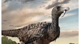 Megaraptor discovered in China may have rivaled velociraptors of 'Jurassic Park:' Study