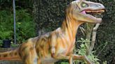 Belfast Zoo welcomes new dinosaur exhibits