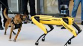 How gun-toting robot dogs could become weapons of mass destruction