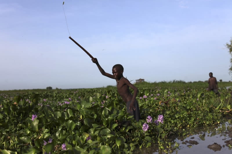 Sudan's SPLM-N rebel group declares famine in its territory