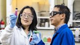 Scientists advance methods to recycle lithium-ion batteries with new remedy: 'Can pave the way for greater recovery of battery critical materials'