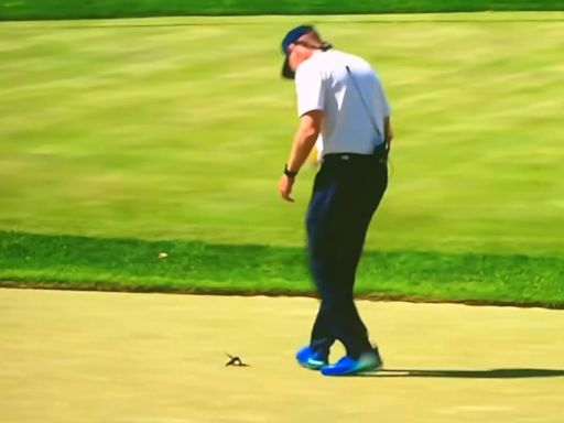 VIDEO: Bird appears to be killed by golf ball at U.S Women’s Open