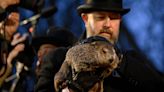 Punxsutawney Phil, wife Phyllis ‘announce’ pups’ names