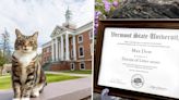 La Universidad de Vermont otorgó un título honorífico a un gato por una emotiva razón