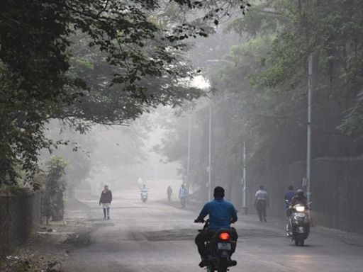 Record-breaking cool day for Bengaluru as 2024’s coldest temperature hits 23.8°C: Report