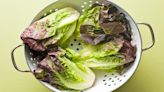 Red Leaf Lettuce Adds Big Flavor to Salads, Stir-Fries + More — 5 Tasty Meal Ideas