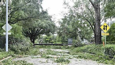 Indian Consulate assists students in Houston amidst power outages after Hurricane Beryl