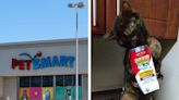 Pet owners are applying for their furry friends to be the 'chief toy tester' at PetSmart – a new position that pays $10K