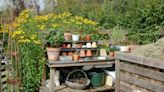 What Is a Potting Bench? (And Why You Need One In Your Garden)