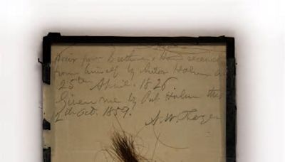 Locks of Beethoven’s Hair Offer New Clues to the Mystery of His Deafness