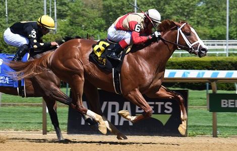 Antiquarian Flashes Belmont Stakes Creds in Peter Pan