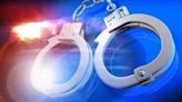 Two arrested for theft in Roane County