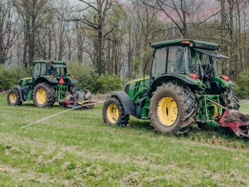 Honda plants 85,000 trees in Union County to reduce its carbon footprint