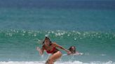 Every week is Shark Week in New Smyrna Beach, but surfers remain undeterred