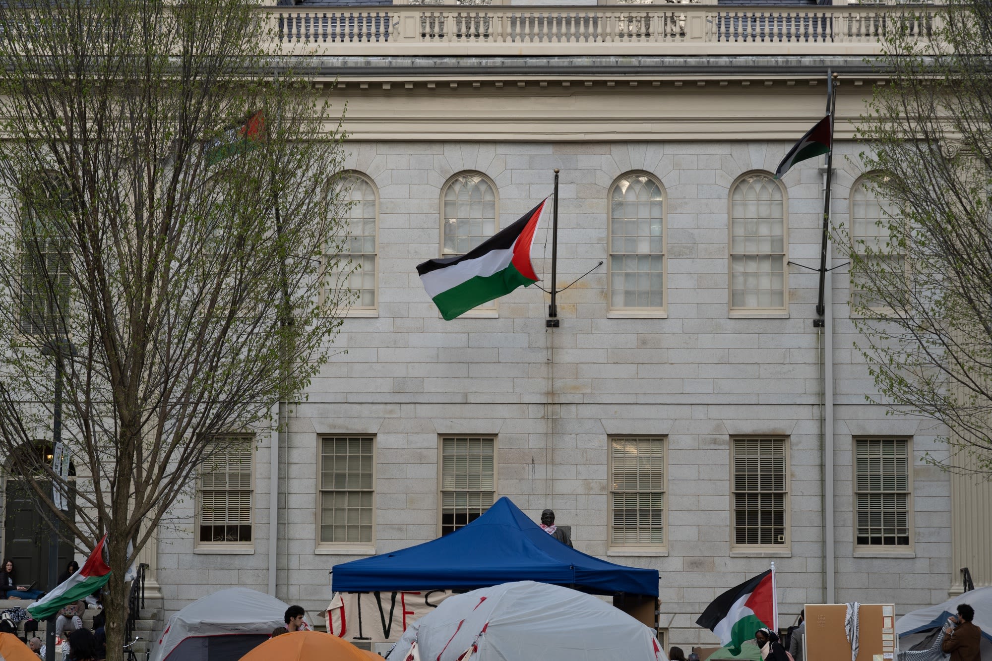 Encampment Protesters Raise 3 Palestinian Flags Over Harvard Yard | News | The Harvard Crimson