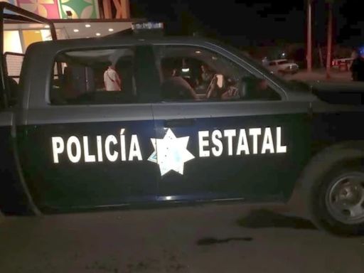 Detienen a Danna Paola “N”, presunta integrante del CJNG en Colima; traía armas y droga