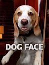 Dog Face