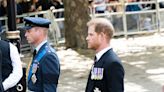 Prince Harry Will Now Wear Military Uniform for Queen's Vigil on Saturday 'at the King's Request'