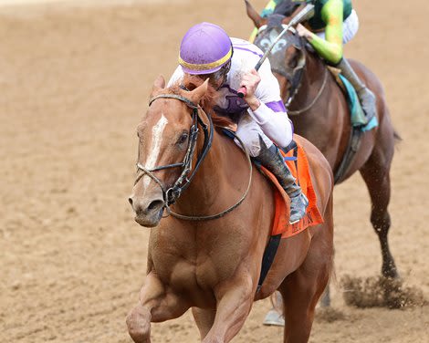 Society Man, Dragoon Guard Top West Virginia Derby