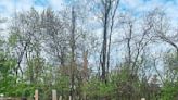 Volunteers help with Fern Hollow Nature Center's spring clean-up