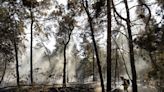 Los incendios y la sequía se extienden a amplias zonas de Europa