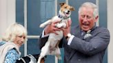 Camilla’s dogs to appear in sculpture form at first Highgrove shop at Chelsea