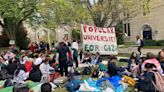 Princeton students launch hunger strike for Gaza as tensions brew on campus