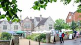 Primary school children create new friends for museum giant