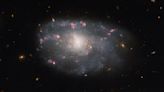 Hubble Space Telescope spies 'irregular' spiral galaxy in Ursa Major (photo)